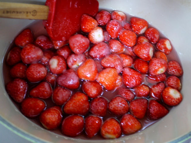 strawberry (6)